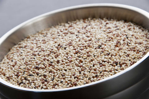 InHarvest Tri Colored Quinoa, 2 Pound -- 6 per case