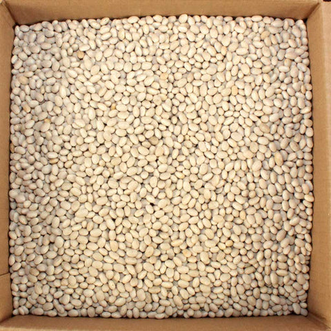 Commodity Beans Navy Bean, 20 Pound