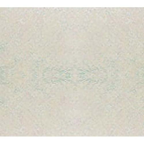 Cambro Galaxy Antique Parchment Silver Rectangular Camtray, 16 1/2 x 22 1/2 inch -- 12 per case.