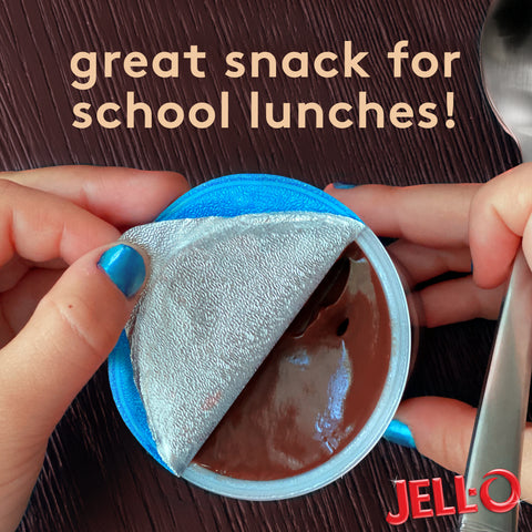 Jell O Ready To Eat Sugar Free Chocolate Pudding, 3.63 ounce -- 24 per case