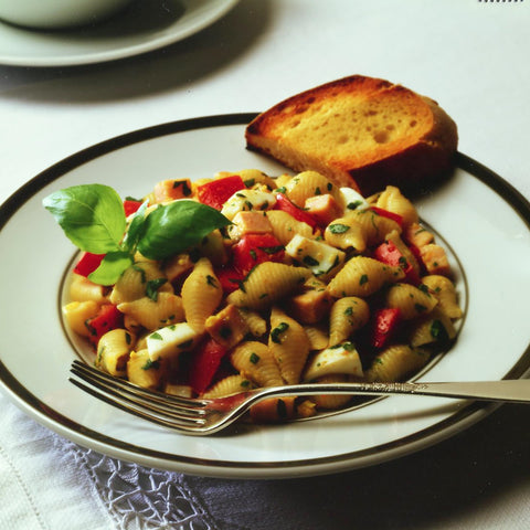 Zerega PASTA MEDIUM SHELLS