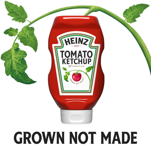 Heinz Easy Squeeze Ketchup, 20 ounce -- 12 per case
