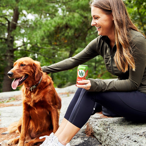 V8® JUICE VEGETABLE SPICY HOT