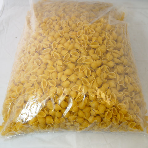 Nugget® PASTA MEDIUM SHELLS