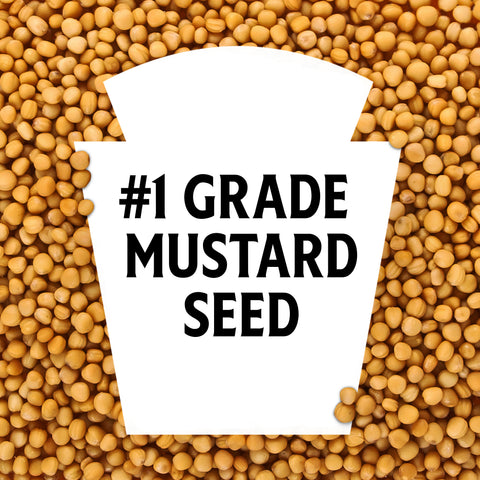 Heinz Yellow Mustard, 14 Ounce -- 12 per case.