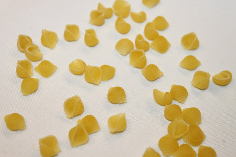 Pasta Small Sea Shells