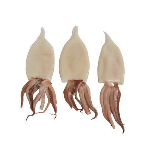 Calamari Tubes & Tentacles Cleaned 5-8