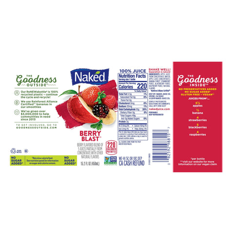 Smoothie Blast Berry No-sugar-added Non-dairy Plastic Bottle Ref 100% Juic