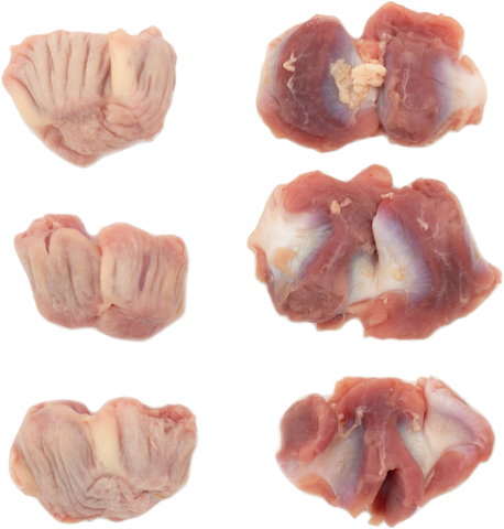 Tyson® CHICKEN GIZZARDS ESL CVP 10001690928